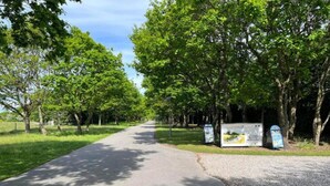 A paved pathway flanked by trees, with informational signs and a mailbox. - 5 Star Holiday Home in Hovborg (Hovborg)