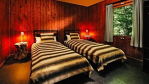 A room with two beds, wooden walls, and a window with curtains. - Forest House in the Roman Valley (Morsbach)