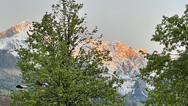 A mountain landscape with snow-capped peaks and a tree in the foreground.