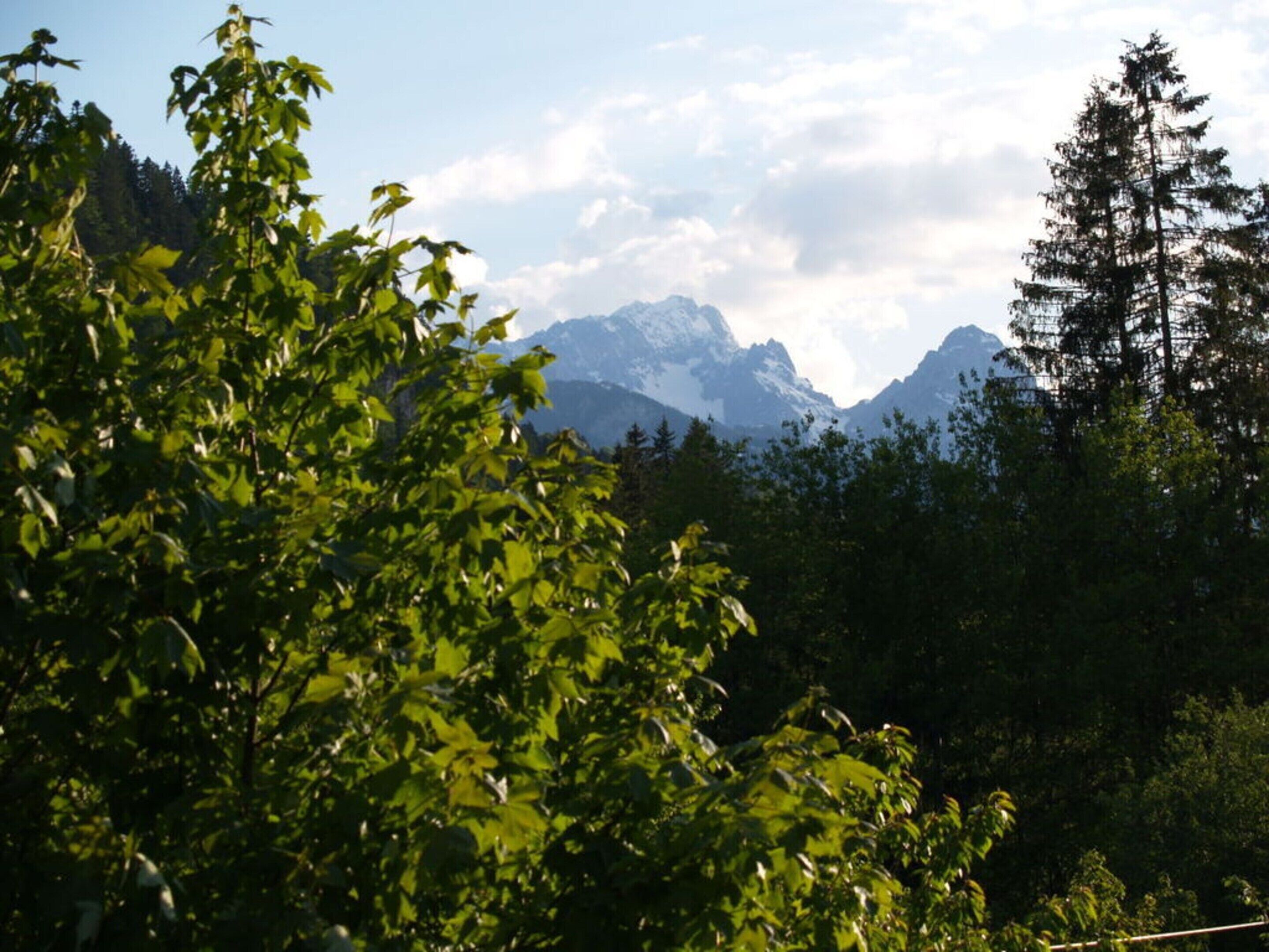 A mountainous landscape with dense forest in the foreground and a clear sky.