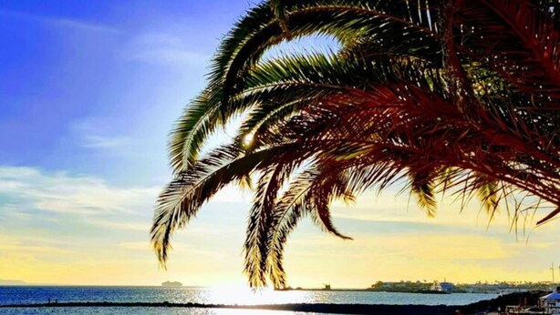 A beach scene with palm trees, a clear sky, and the sun setting over the ocean. - Holiday Home in Playa Blanca (Yaiza)