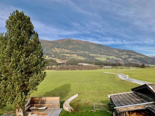 Apartment | Miscellaneous - Comfortable Apartment in Salzburger Land (Neukirchen am Grossvenediger)