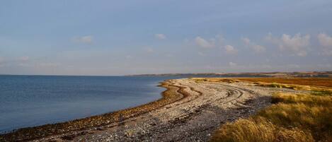 A coastal landscape with a pebble beach leading to the sea, surrounded by grassy fields.