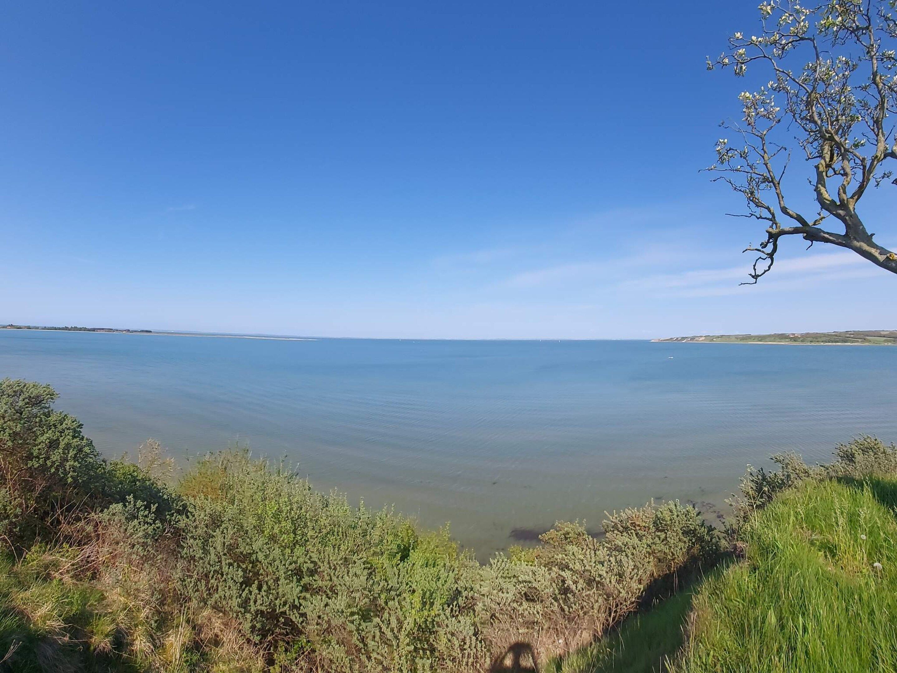 Un paysage côtier caractérisé par un ciel dégagé, une mer calme et une végétation luxuriante.