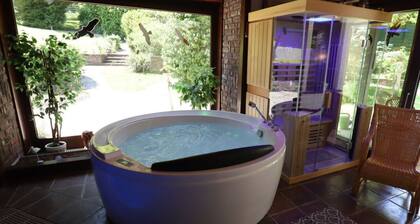 Holiday Home Eifel With Pool