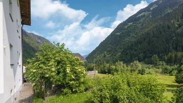 House | View from property