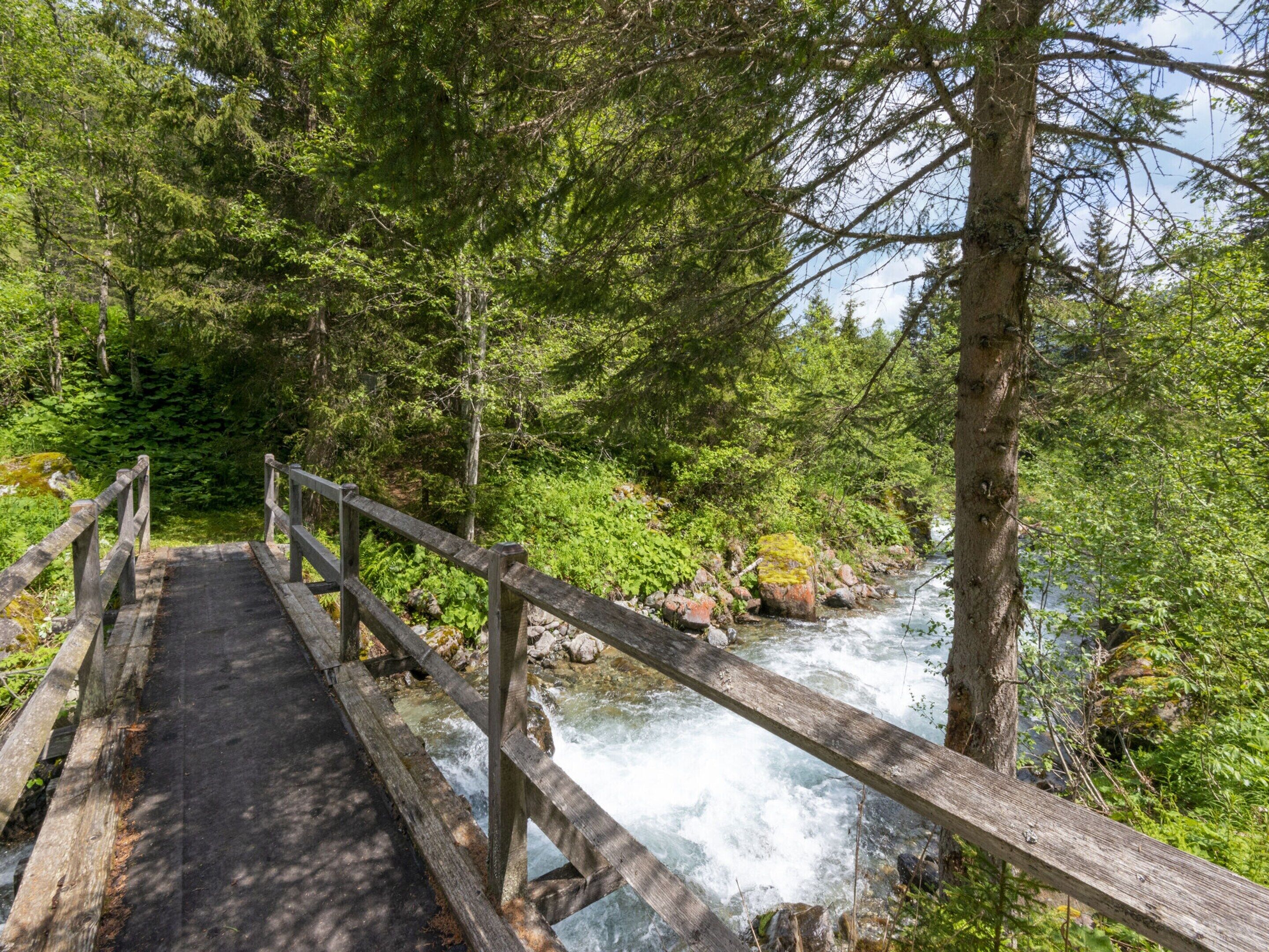 A wooden bridge over a flowing river surrounded by dense green forest.