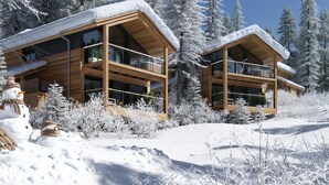 A modern wooden cabin with large windows and a balcony, surrounded by snow-covered trees.
