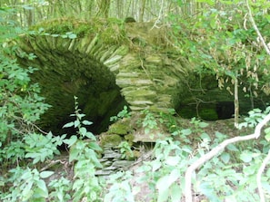 A natural rock formation with a cave entrance surrounded by dense foliage.