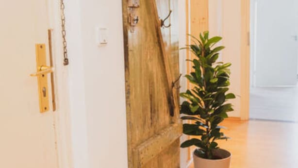 A hallway with a wooden door, a potted plant, and a light switch on the wall. - Villa G With Pool in Lubbenau (Lübbenau/Spreewald)