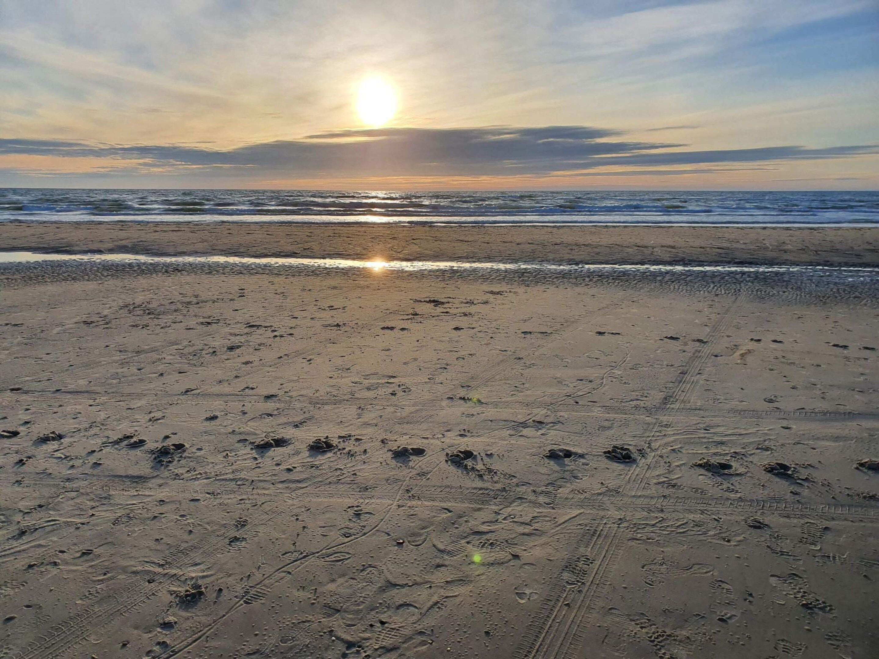 A beach with footprints and tire tracks, a clear sky, and the sun setting or rising.
