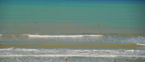 Casa | Vista desde la propiedad