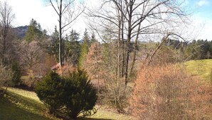A natural landscape with trees, a small bush, and a grassy area. - Lakeside Comfort in Fussen (Fuessen)