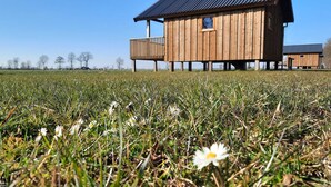 A wooden cabin with a balcony, situated in a grassy field with daisies.