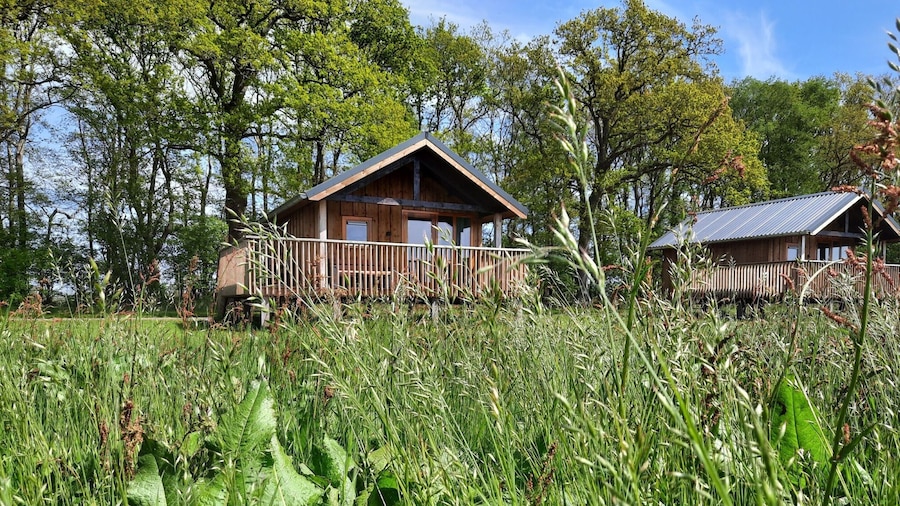 Lodges in Drenthe With Scenic Meadow Views