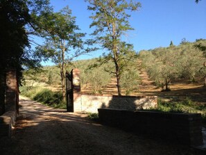 Exterior - Nice Apartment in Chianni (Chianni)