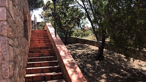 Eine Treppe aus Stein, die zu einem Gebäude führt, umgeben von Bäumen und einer Steinmauer.