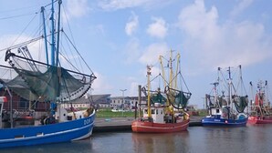 Un puerto con varios barcos pesqueros amarrados.