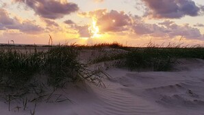 A beach with sand dunes and grass. - 4 Star Holiday Home in Fano (Fano)
