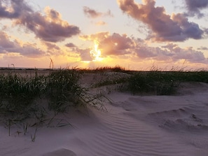 A beach landscape with sand dunes and grass at sunset. - 4 Star Holiday Home in Fano (Fano)