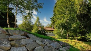 A stone wall, a grassy area, and a house with a red roof in a wooded area. - Holiday Home Black Forest (Feldberg)