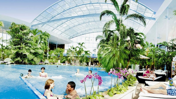 A large indoor swimming pool with a glass ceiling, surrounded by palm trees and tropical plants. - Holiday Home Black Forest (Feldberg)