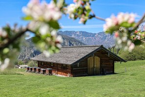 Exterior - Fewo Antenbichllehen Zinkenstadl - 88qm, 2 SZ mit Balkon und Terrasse (Berchtesgaden)