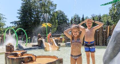 Detached Bungalow With Fireplace, in Appelscha