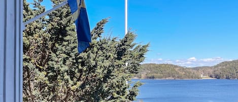 A flag on a flagpole, a clear view of a lake, and a forested hillside.