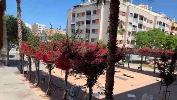 A courtyard with palm trees and red flowers, benches, and a building with multiple balconies in the background. - Belvilla by OYO Apartamento Divendres (Massanassa)