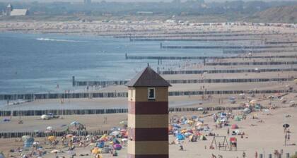 Stylish Zeeland Stay BBQ