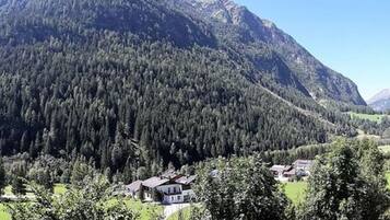 House | Property grounds