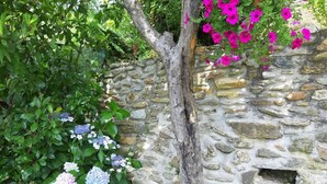 Un mur de pierres avec un tronc d’arbre au centre, entouré d’une végétation luxuriante et de fleurs d’hortensia.