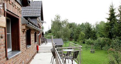 Pear - On the Fruit Tree