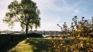Une zone herbeuse avec un grand arbre, un petit bâtiment et une étendue d’eau en arrière-plan.