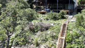 Een gebouw met twee verdiepingen en een balkon, omgeven door natuurlijke beplanting en een houten trap naar de ingang.