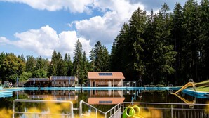 Pool - Romantic Maisonette (Schonach im Schwarzwald)