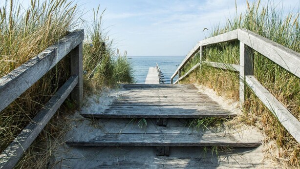 A wooden boardwalk leading to a beach, surrounded by tall grass. - Fischer Heiligenhafen 4b (Heiligenhafen)
