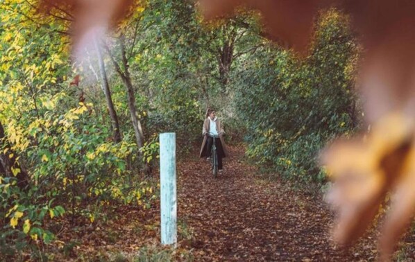 Uma pessoa caminhando por um caminho coberto de folhas em uma área arborizada.