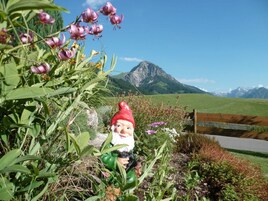 Vista desde la propiedad