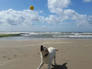 Beach - Schittering van de Zee (Sellin)