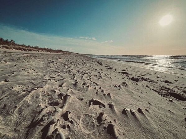 Beach - "apartment New Series 3a" (Ostseebad Dierhagen)