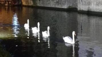 Apartment | View from property