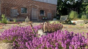 A brick building with a wooden door and windows. There is a garden with purple flowers and a stone bench.