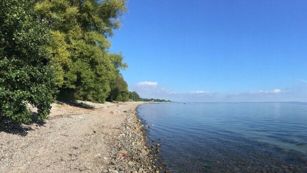 A pebbled beach with trees and a calm sea under a clear sky.
