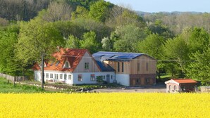 A house with a red roof and solar panels, surrounded by a field of yellow flowers and trees.