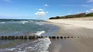 A beach with a wooden jetty and a sandy shore. - Holiday Apartment Dune Dream (Zingst)