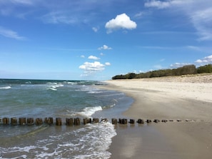 On the beach - Holiday Apartment Dune Dream (Zingst)