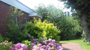 Un edificio in mattoni con un giardino che presenta ortensie viola e arbusti verdi.