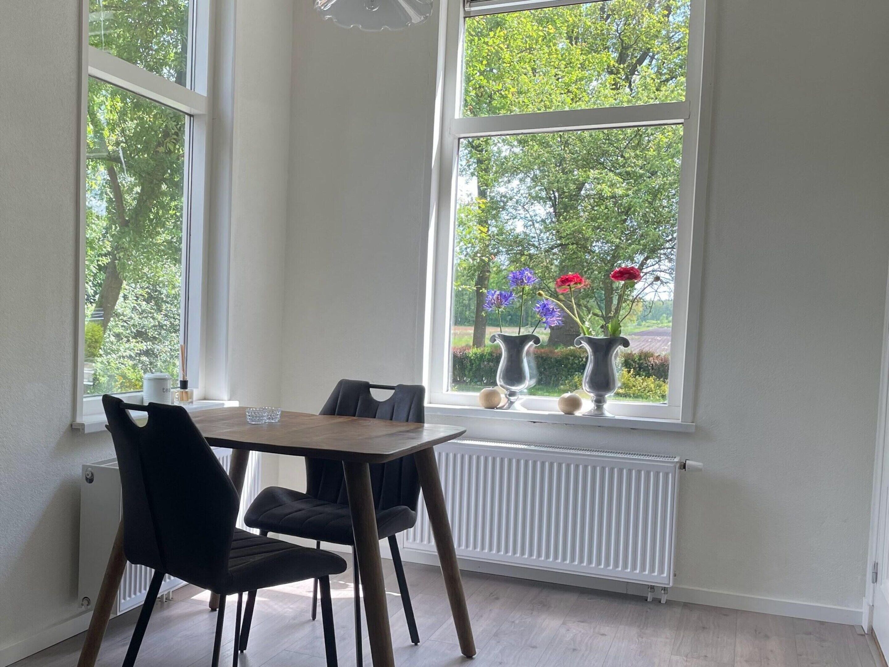 A dining area with a table and chairs, a radiator, and two windows with flower vases.